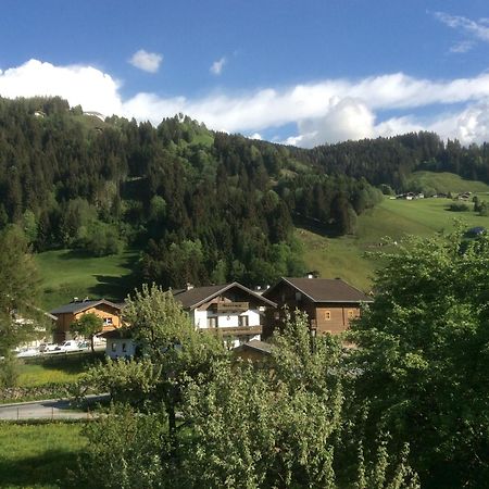 Apartamento Kitzbuheler Alpen Penthouse Hollersbach Hollersbach im Pinzgau Exterior foto